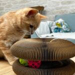 Jouet Intéractif pour Chats - Tunnel et Griffoir en Papier Alvéolé